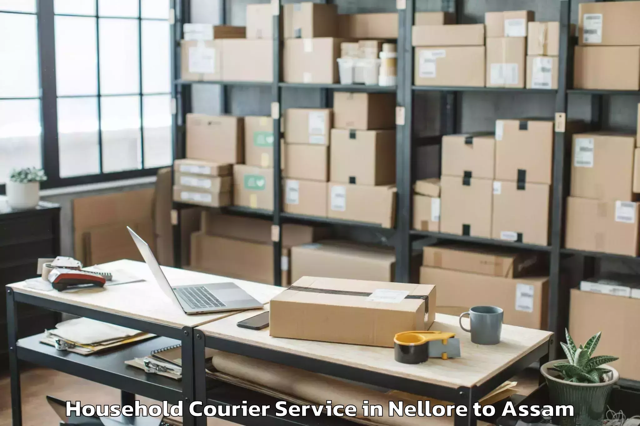 Book Nellore to Cotton University Guwahati Household Courier Online